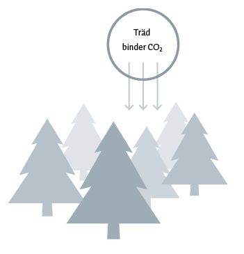 Träd binder co2 illustrasjon