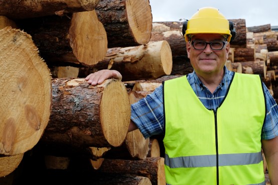 First sawmill in Norway with X-ray sorting of timber