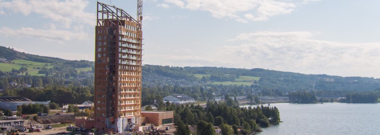 A renewable journey: From seed to the world’s tallest timber building